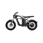 Segway Xyber Electric Bike