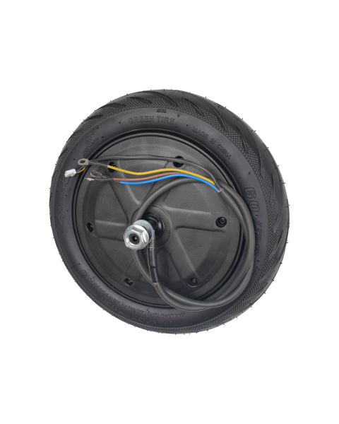 Wheel Hub Motor Assembly - F2