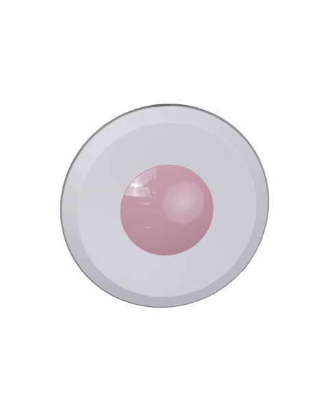 Light Guide Plate Assembly (Pink) - Ninebot S Kids