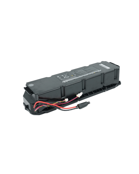 Battery Assembly - MAX G30LP