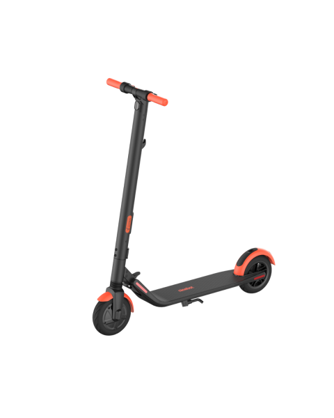 Ninebot by Segway KickScooter ES1 E-Scooter 
