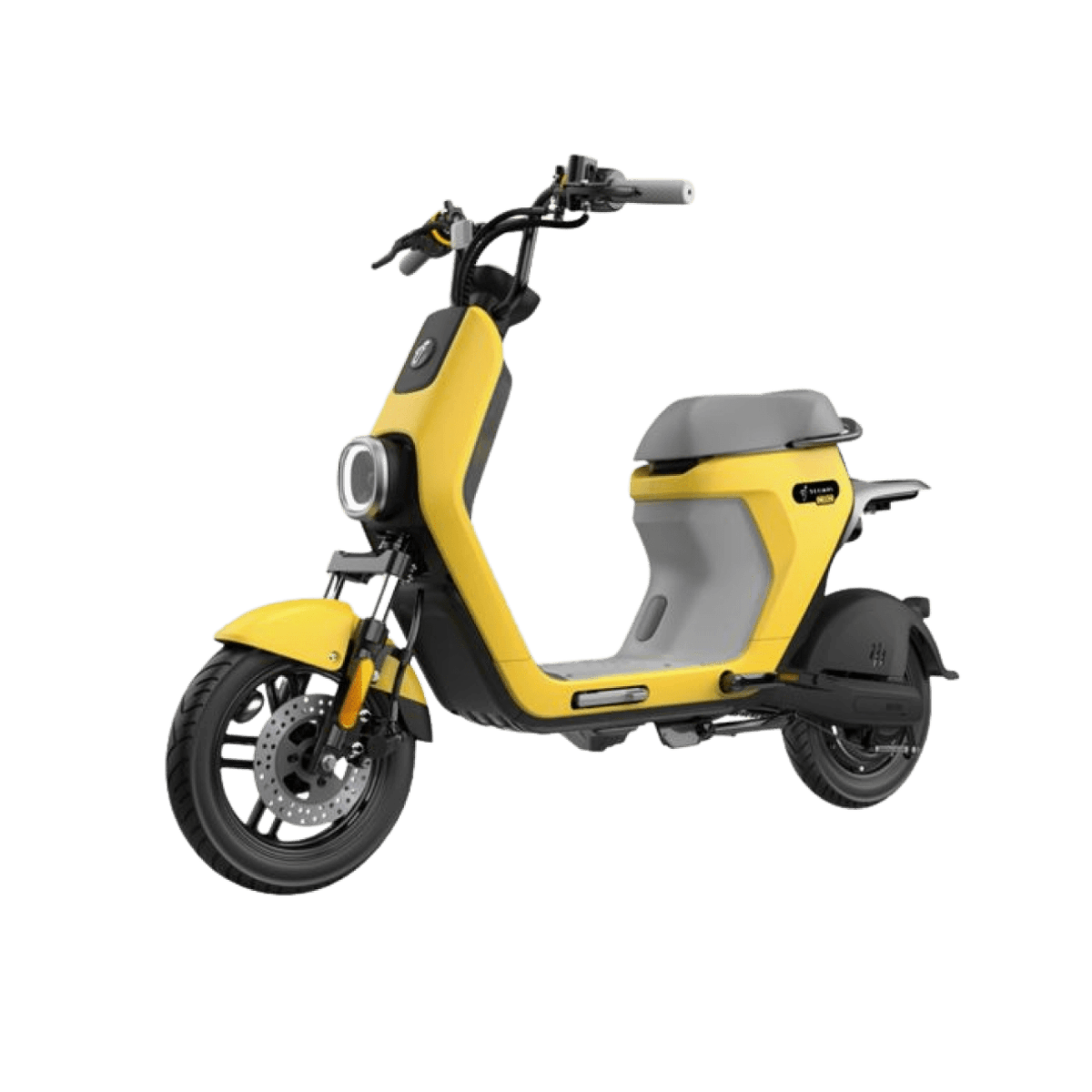 Moped online shop new arrivals