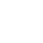 Wheel icon
